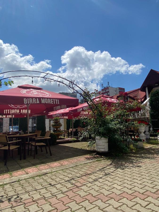 Pensiunea Viena Târgu-Mureş Exterior foto